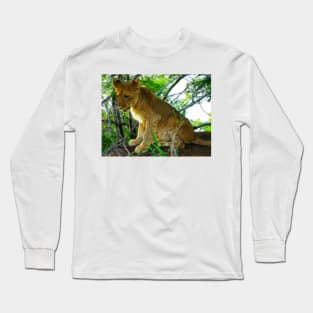 Lion Cub, Zambezi National Park, Zimbabwe Long Sleeve T-Shirt